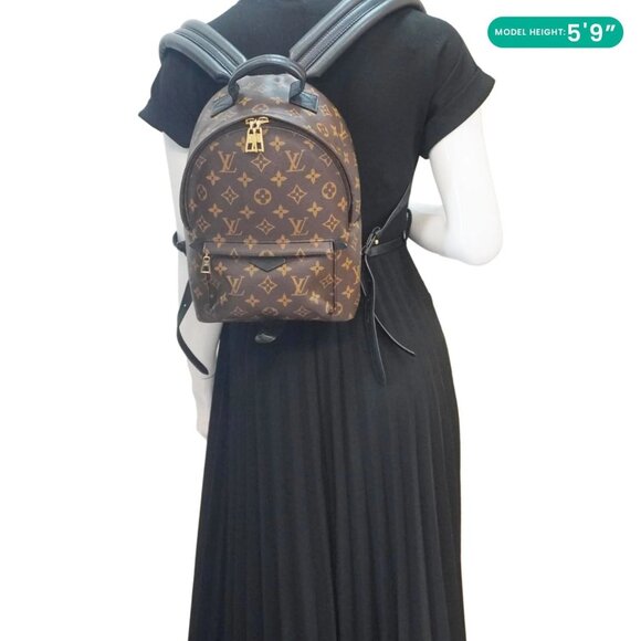 LOUIS VUITTON  Palm Springs PM Monogram Canvas Backpack Brown main image 12